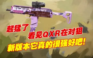 Video herunterladen: 什么？！新版本QXR还能当狙打！！QXR：我不是我没有！！（使命召唤手游）