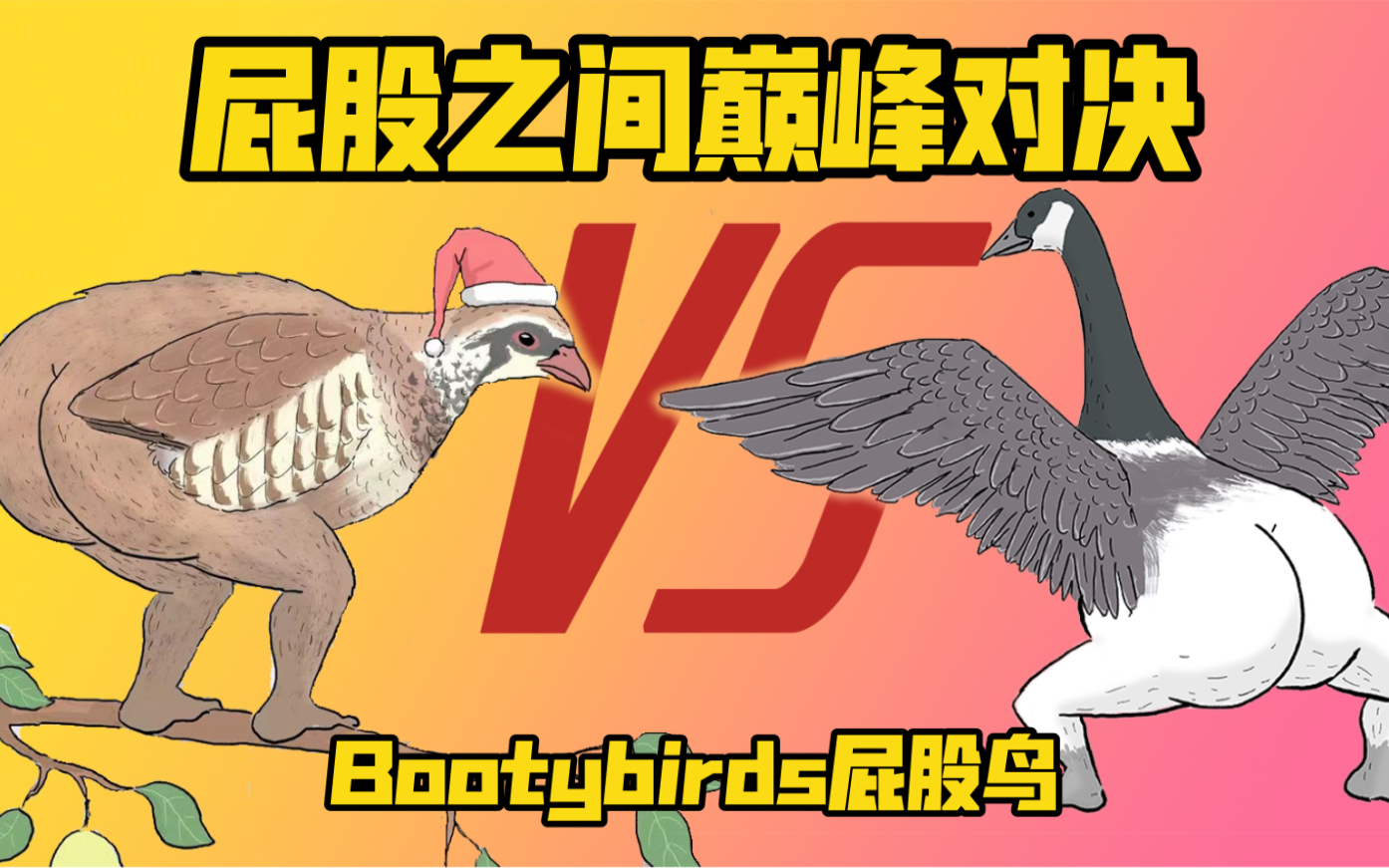 【bootybirds】全球知名“艺人”屁股鸟vs 新晋“顶流”圣诞鸟,用屁股一决胜负!?哔哩哔哩bilibili