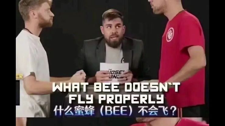 难绷图之什么bee不会飞?牢大:孩子们,这并不好笑 11期哔哩哔哩bilibili