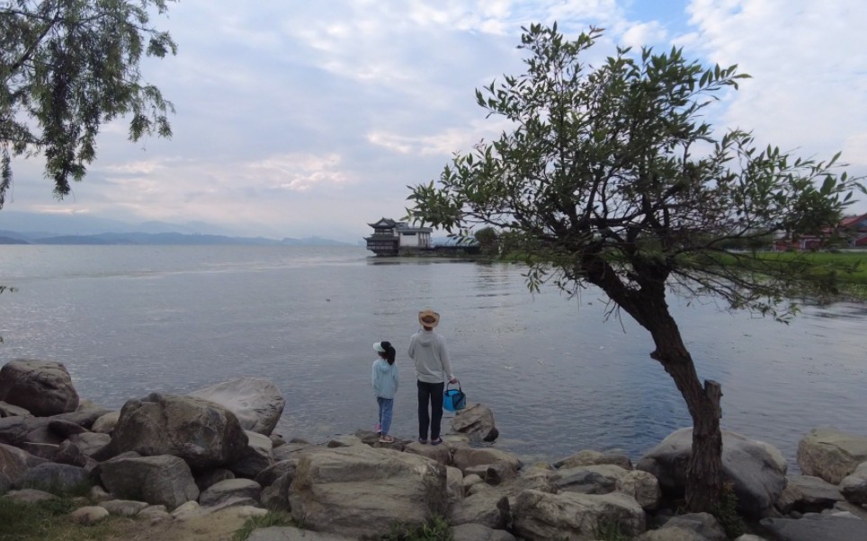 社畜的假期大理洱海旅游之不带脑子,主打悠哉悠哉漫无目的随遇而安.(特种兵是当不了的!!!一个热门景点都没打卡)哔哩哔哩bilibili