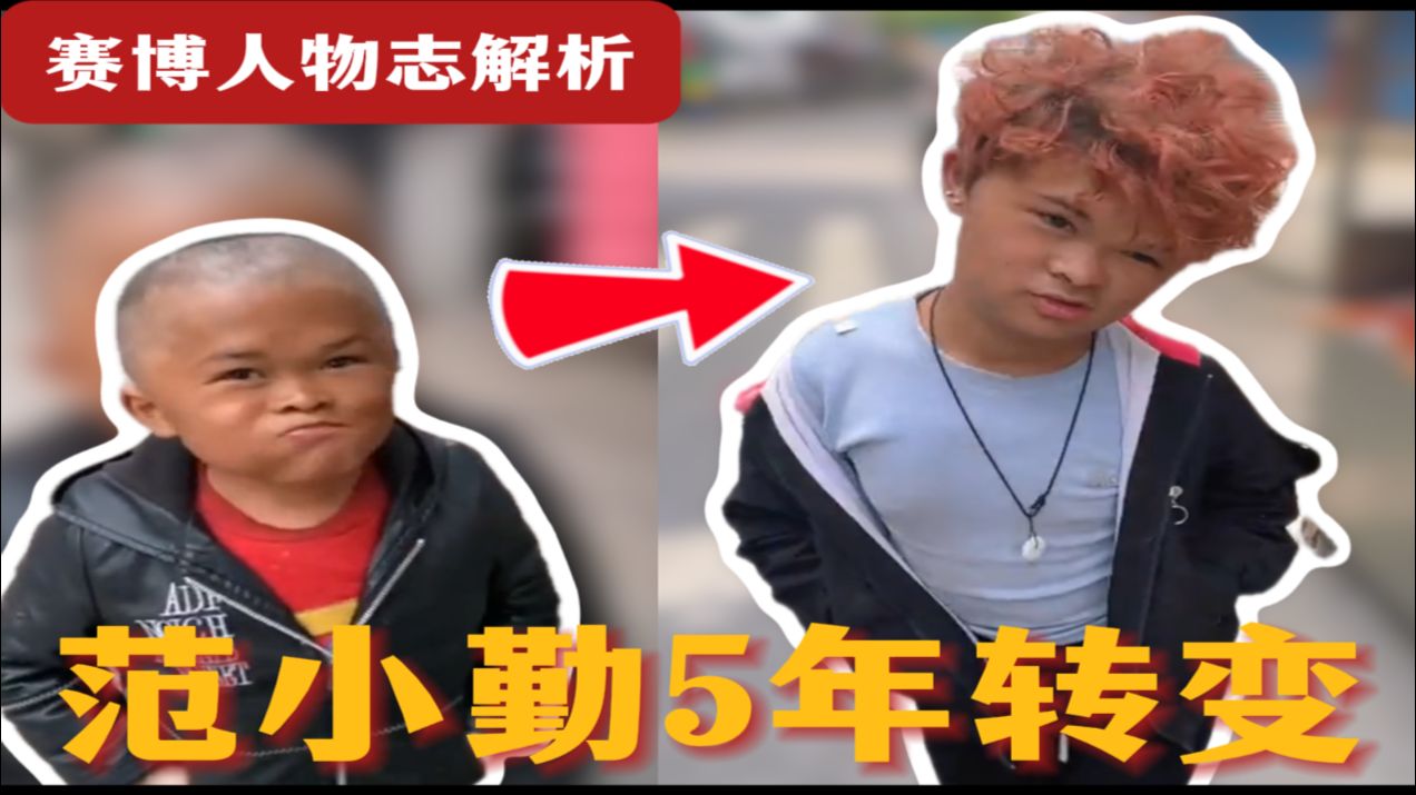 从光头肥勤步入发勤期？范小勤这几年发生了什么？抽象名场面有哪些？赛博人物志解析——范小勤（小马云）