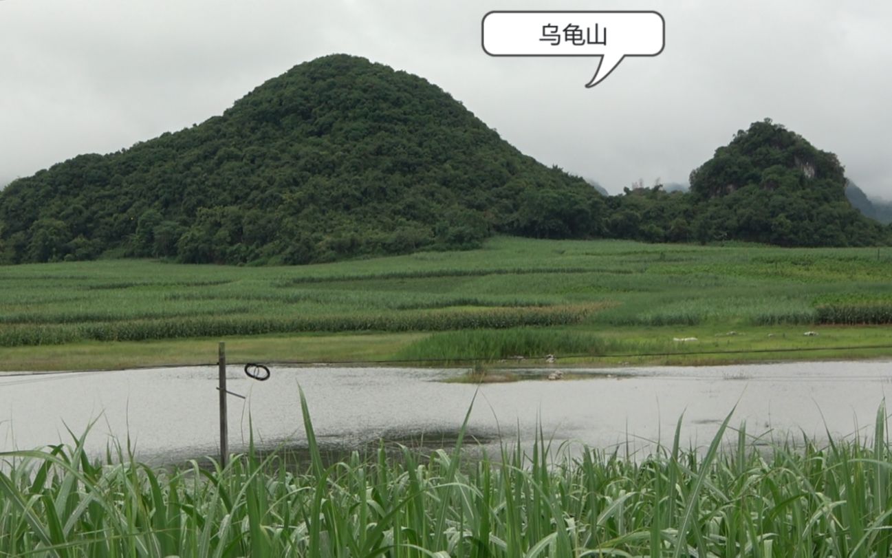 当地有名的乌龟山,龟头的下方有富贵人家,这算是风水宝地吗?