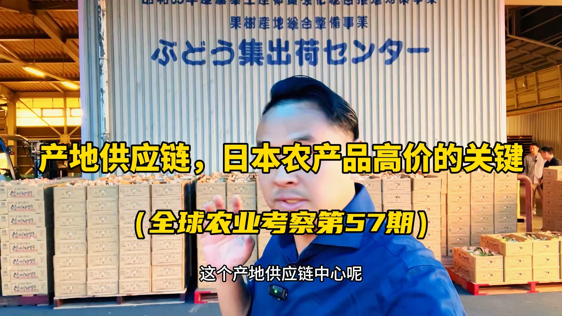 日本农产品能够卖出高价的重要原因:他们有一套成熟的产地供应链运营体系!哔哩哔哩bilibili