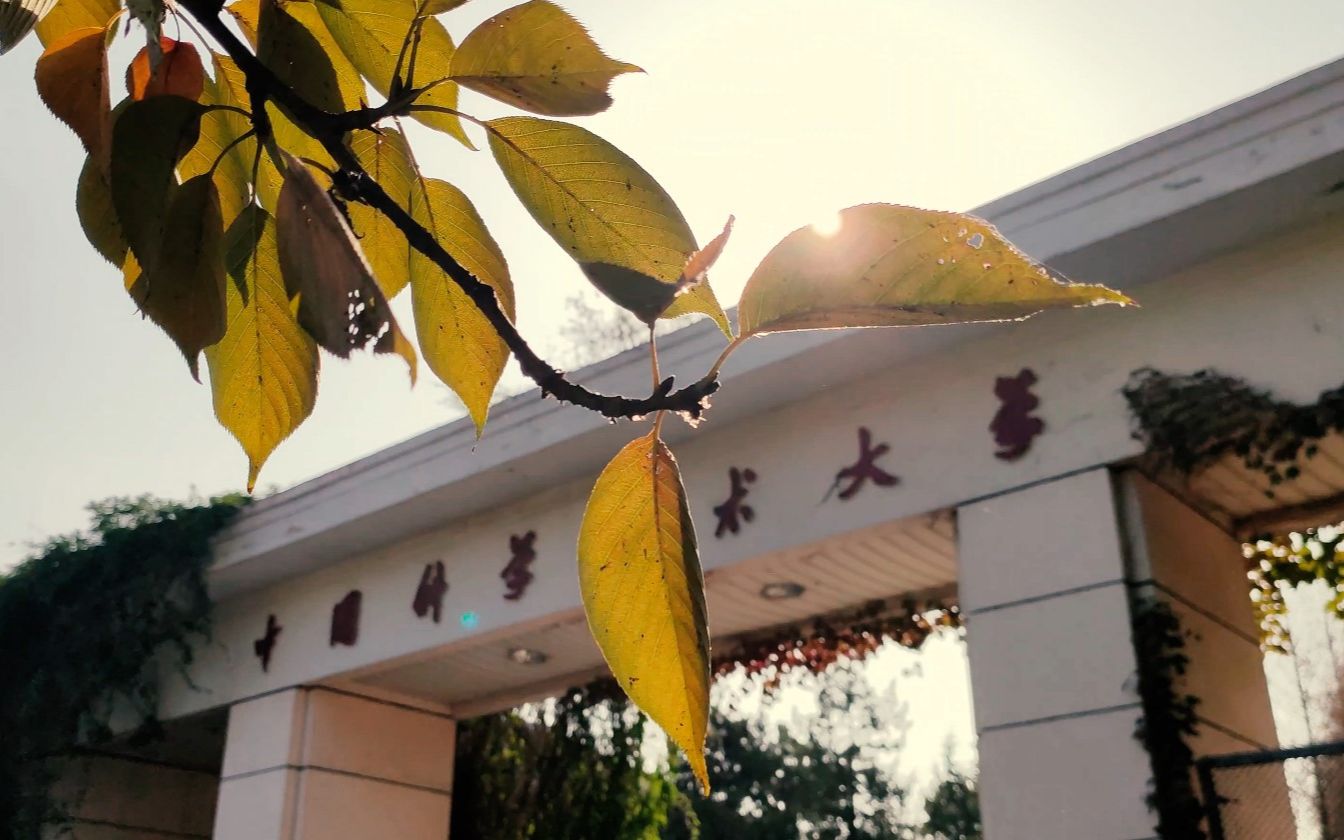 2020中国科学技术大学非官方宣传片刚好遇见妮