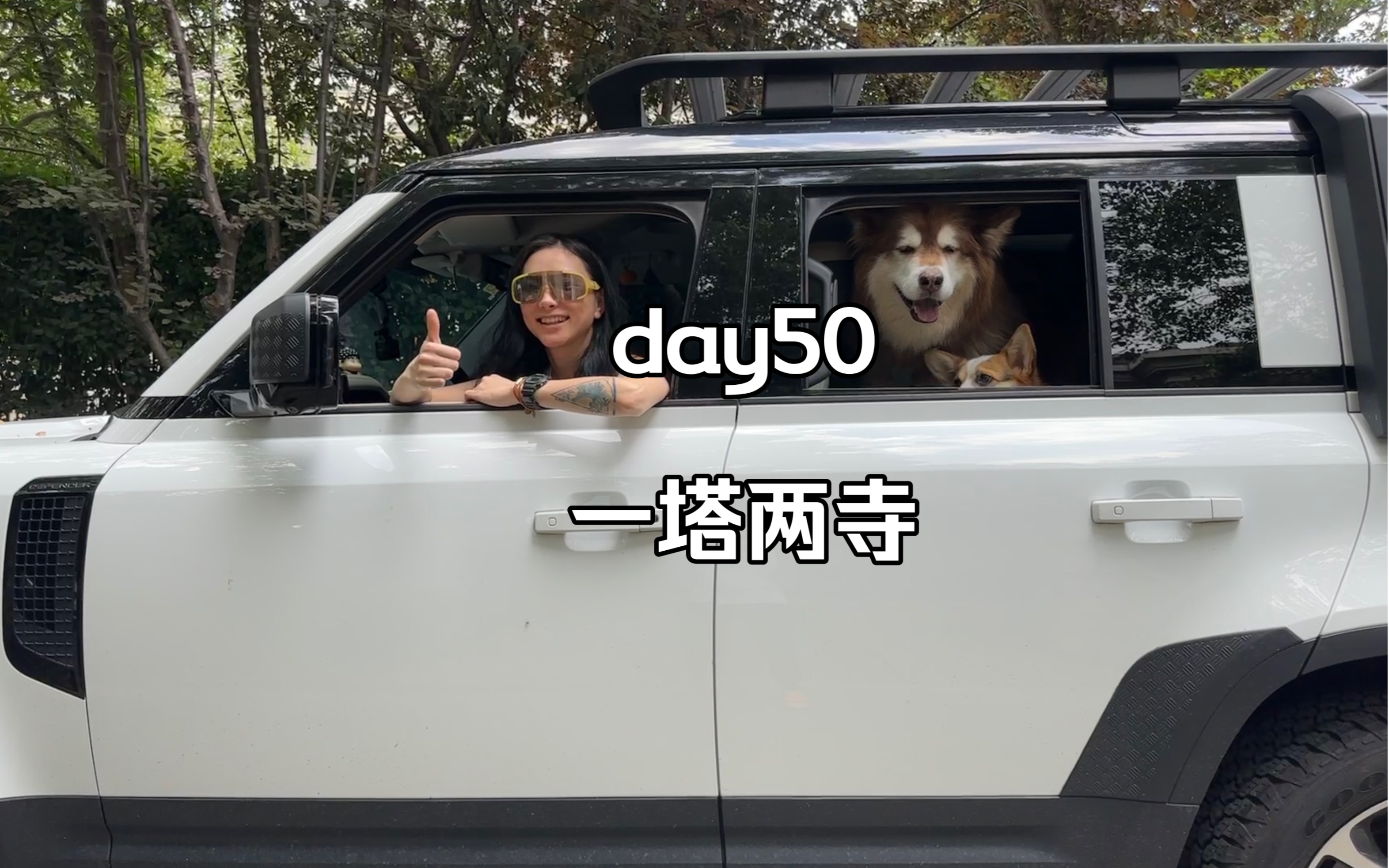 DAY50一塔两寺哔哩哔哩bilibili