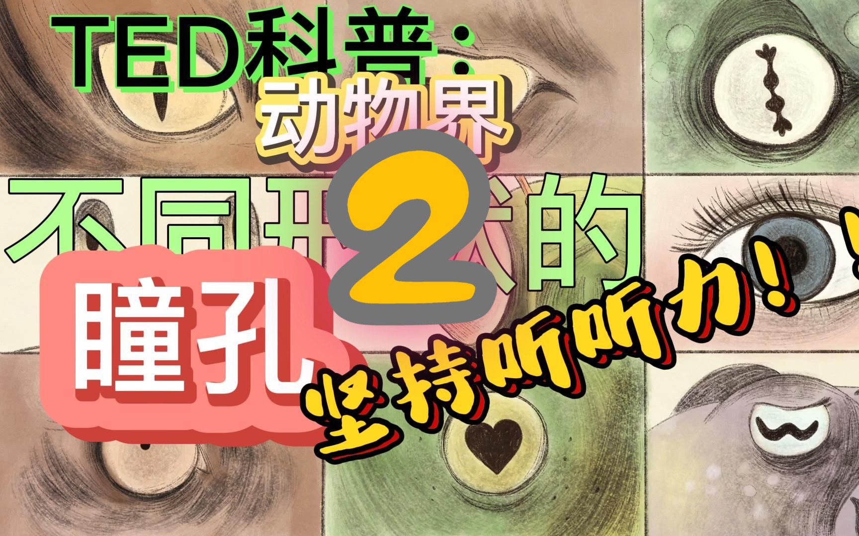 带着问题听听力2!!TED科普:关于动物界的眼睛,人的眼睛!听力训练(无字幕|纯英文字幕|中英字幕)哔哩哔哩bilibili