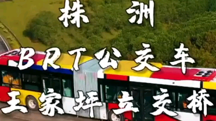 【转载】广州BRT巴克龙在湖南株洲王家坪立交试车哔哩哔哩bilibili