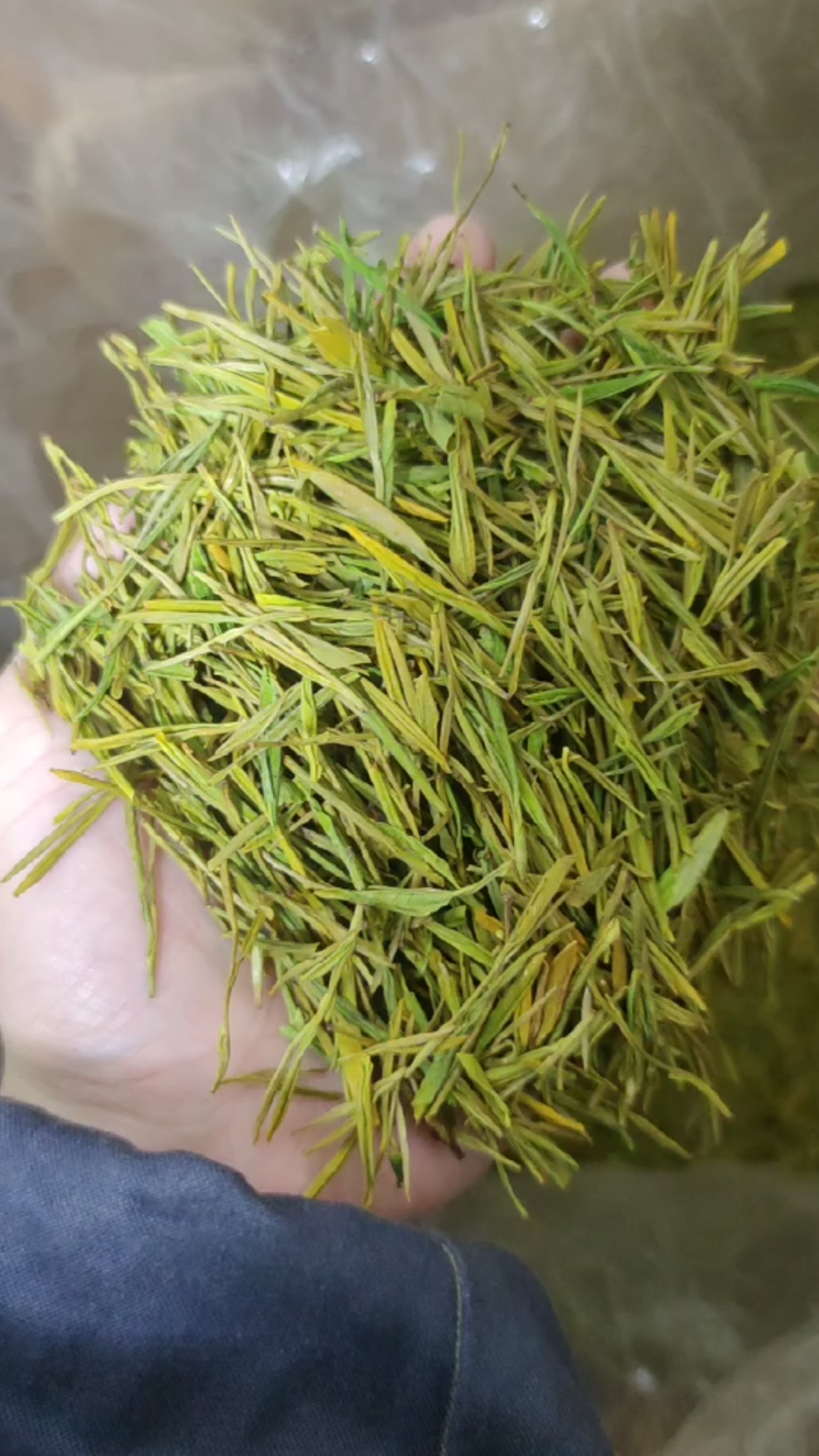 春采口粮绿茶,白茶龙井黄金芽,380米起,货量有限