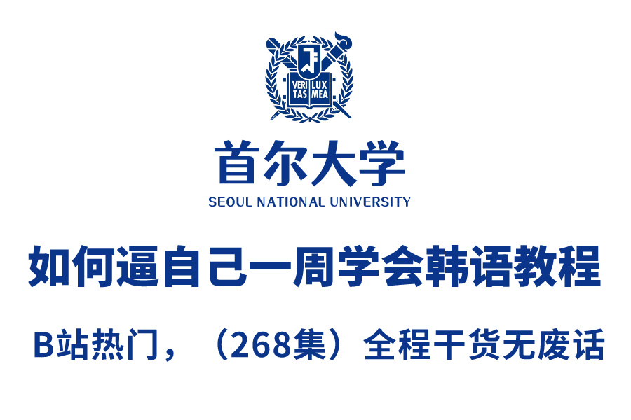 【全268集】首尔大学168小时讲完的韩语教程,通俗易懂,2024最新版,全程干货无废话,这还学不会,我退出韩语界!哔哩哔哩bilibili