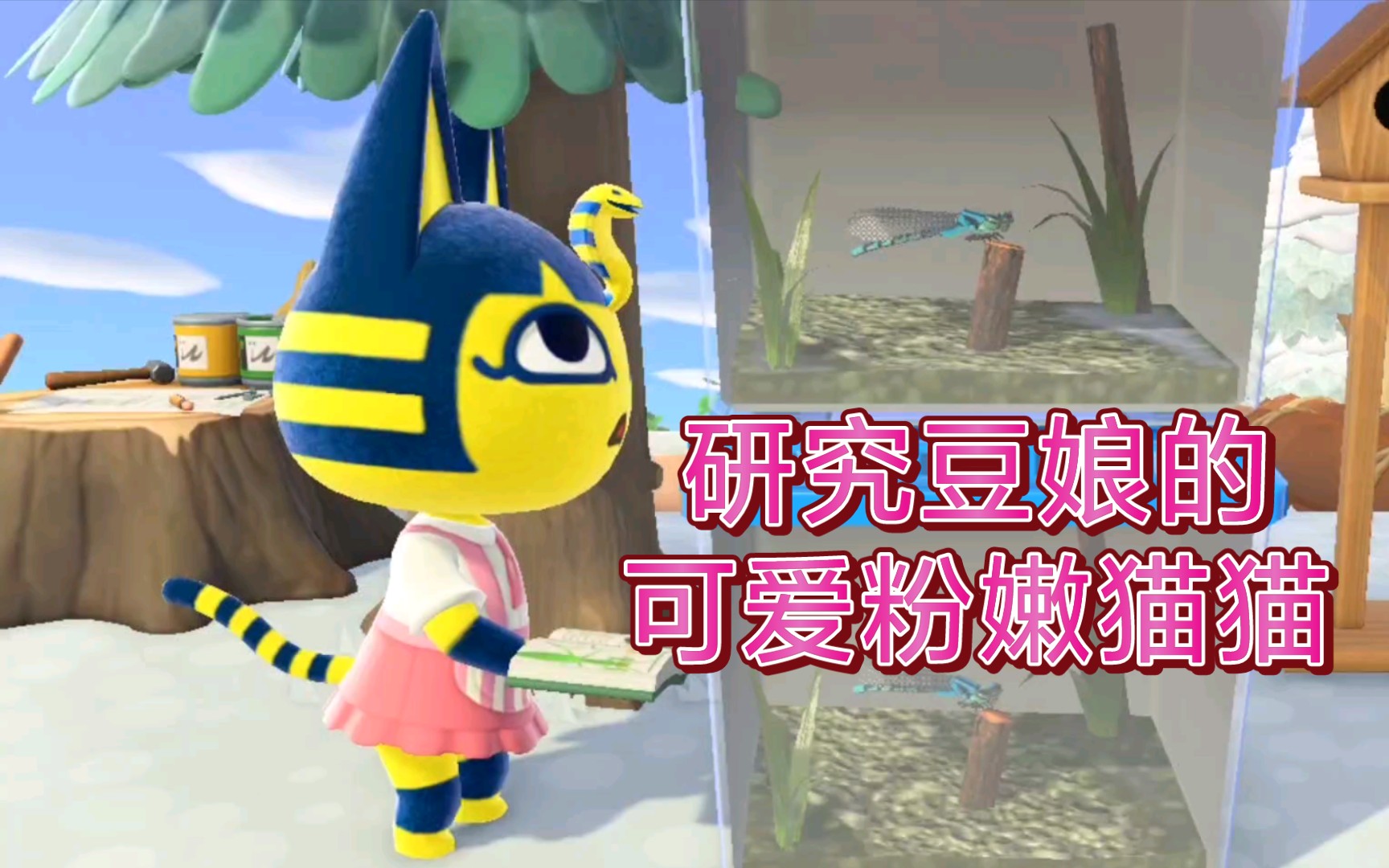 动森可爱粉嫩艳后猫猫研究豆娘
