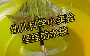 Descargar video: 【幼儿科学小实验】坚强的水袋(自说自话的小总裁)