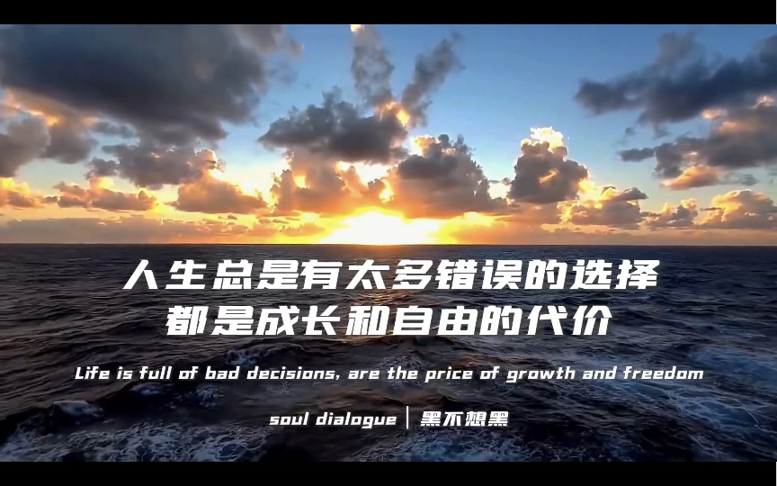 “我们总要学会一个人做决定,为自己的人生负责,可能会感到孤独和不被理解,也可能会做出错误的决定,但这也是成长和自由的代价”哔哩哔哩bilibili