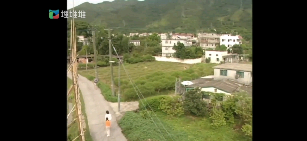 [图]欧阳震华•关咏荷。美味天王…金一山田味吉带秦苏苏去选走地鸡🐔