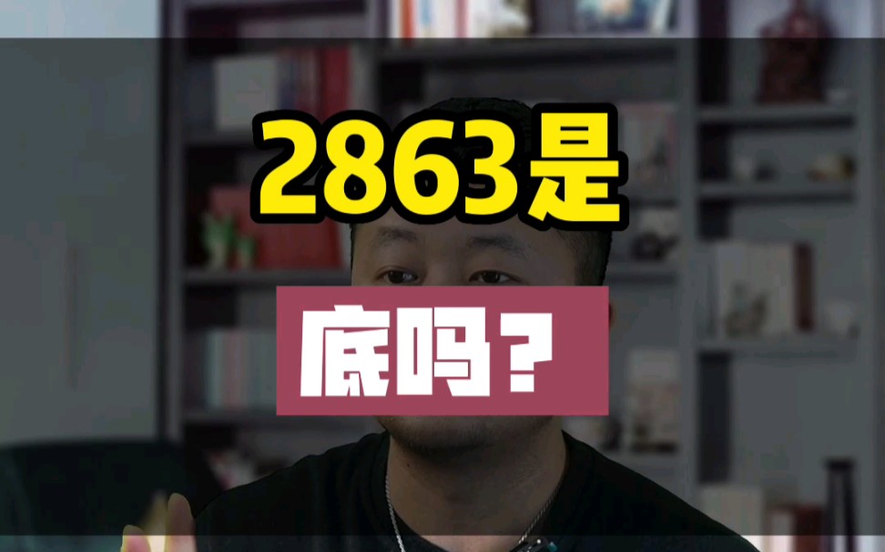 2863是大底吗?哔哩哔哩bilibili