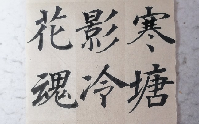 寒塘渡鹤影冷月葬花魂210519