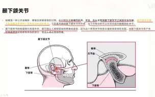 Download Video: 基础肌动学第13章