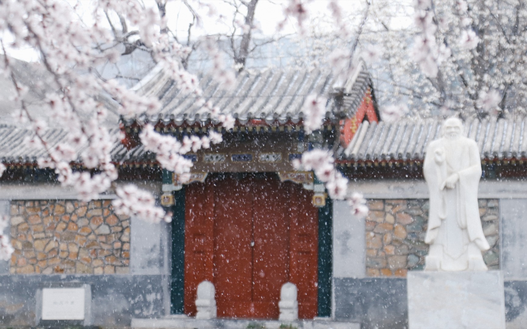 [图]三教是北大最让人无心学习的教室吧丨燕园花朝春雪丨山桃吹雪丨落雪融化丨20220317