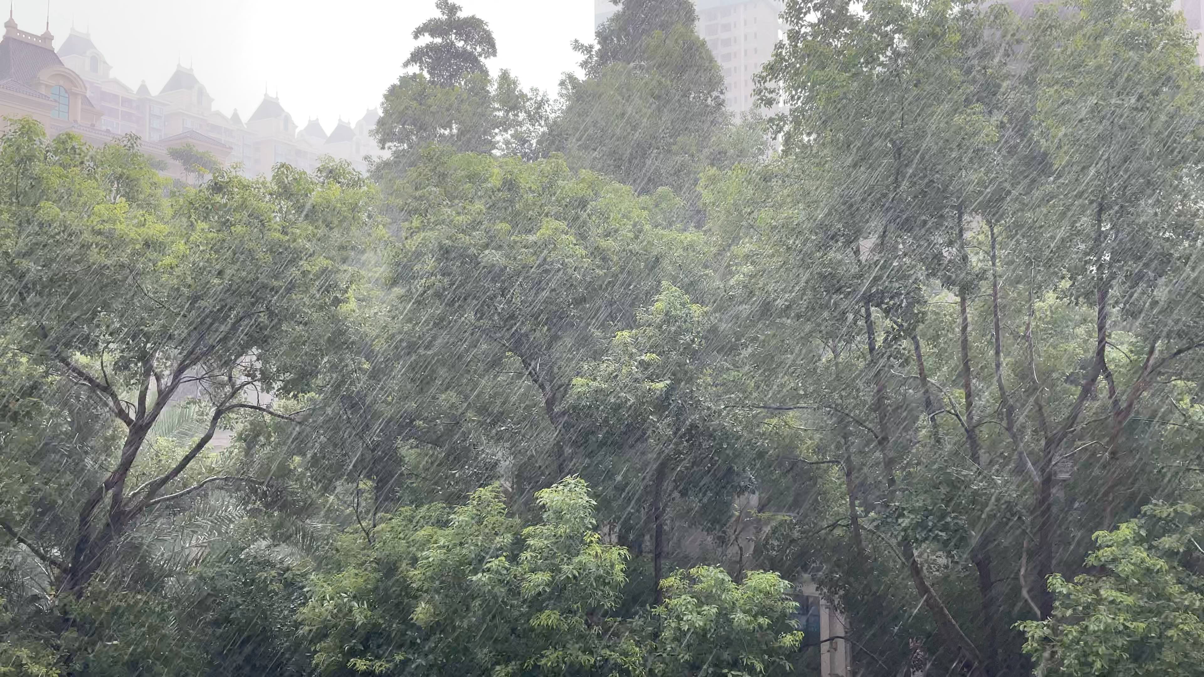 [图]听暴雨啊，还挺入迷的，这大雨或者能暂时洗掉一下烦恼吧，这一刻，工作烦恼都走开，找回自己