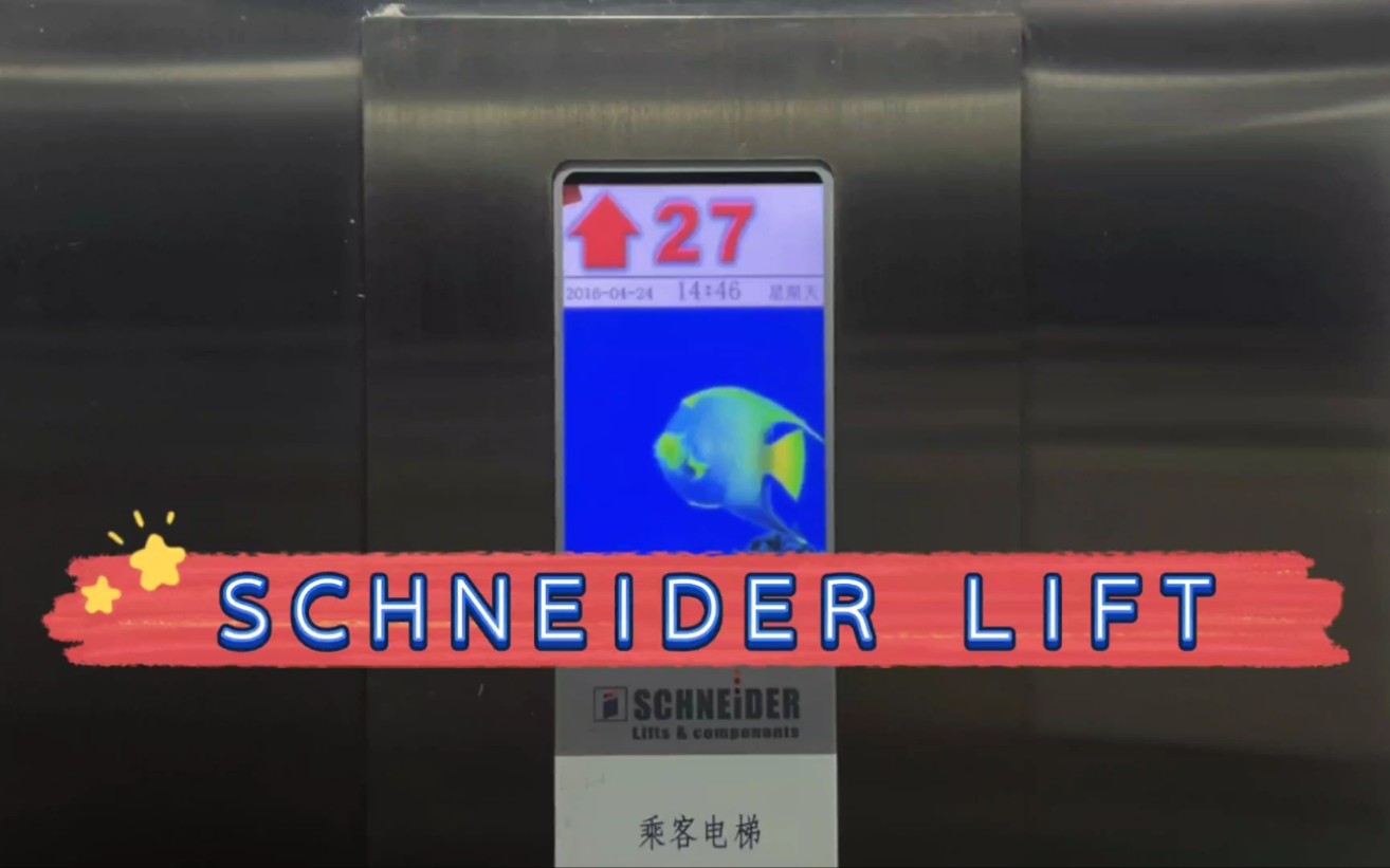 【G4744】SCHNEIDER施耐德电梯ⷩ’岛大成公馆1号楼1单元哔哩哔哩bilibili