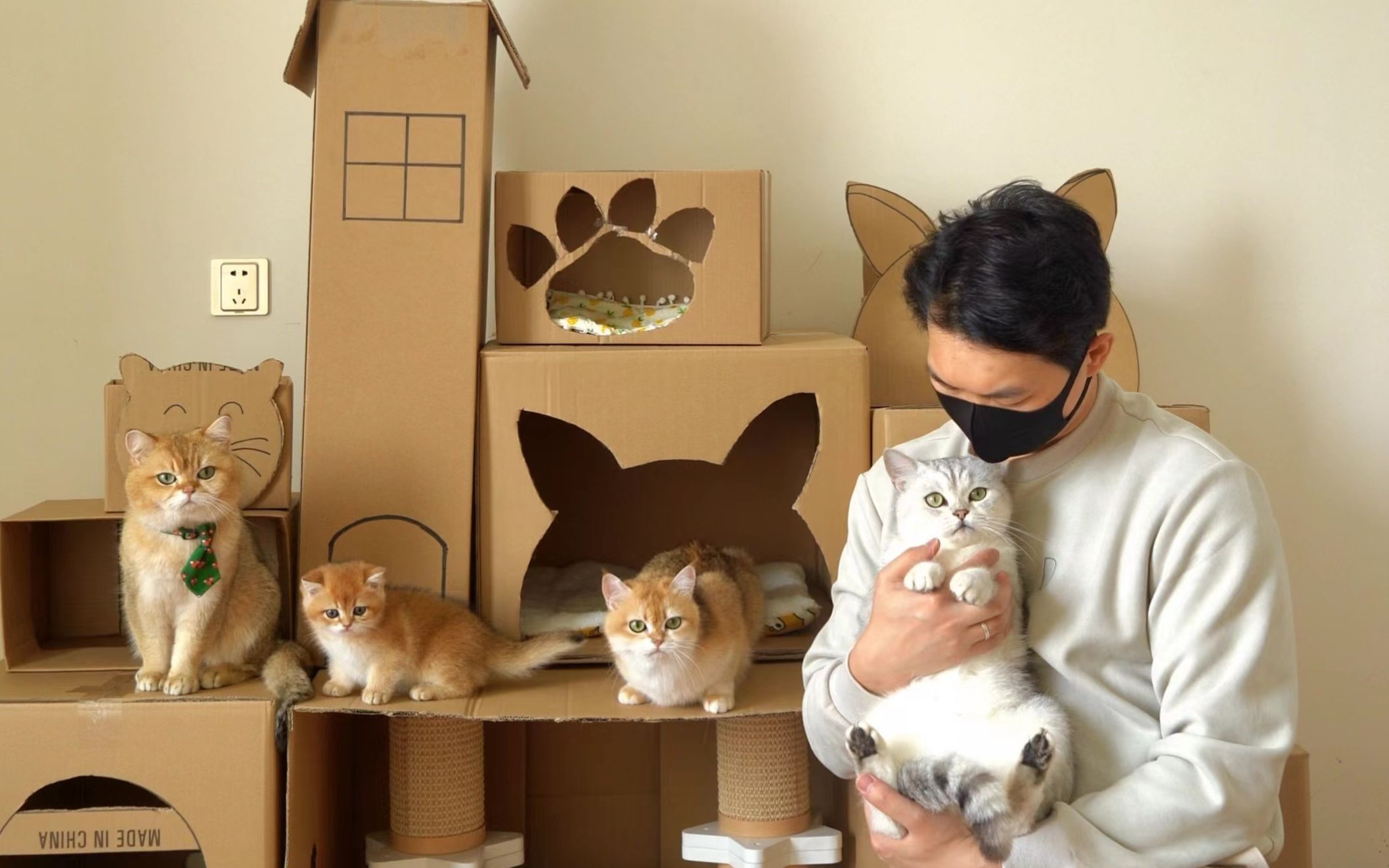 活动作品用纸箱做猫窝大城堡豪华装修太给力