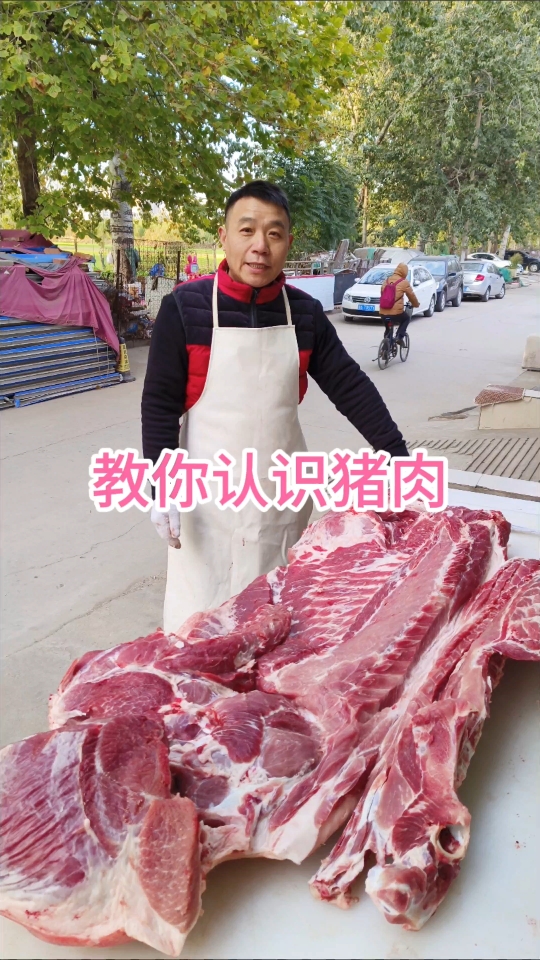 [图]给大家介绍一下猪肉