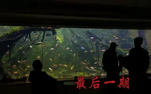 Video herunterladen: 最豪原生水景（最后一期，最后一期）