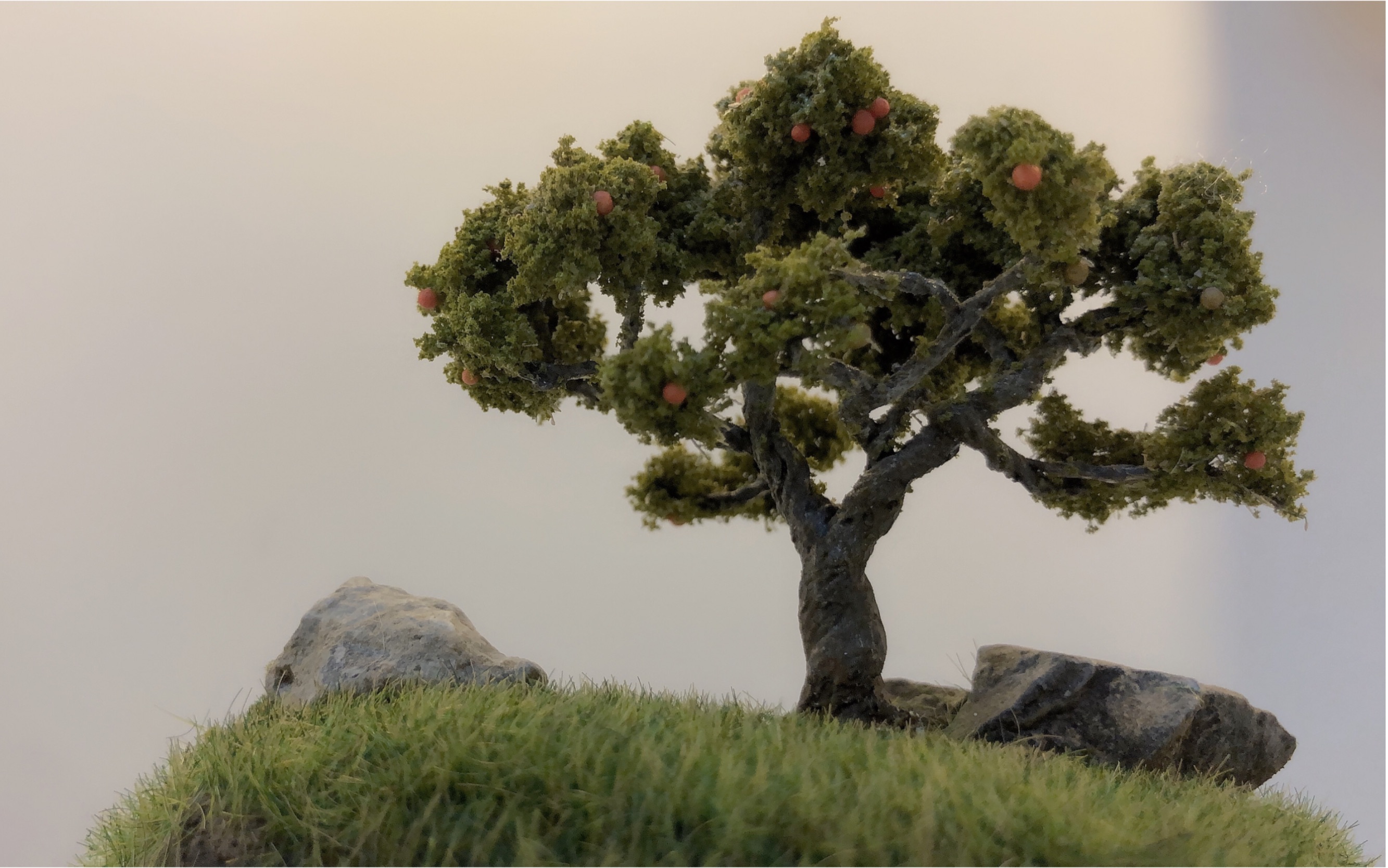 微缩场景模型 岩石与树 如此美景你只差一个光盘