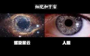 下载视频: 探索细胞内部，身体里的“宇宙”——细胞！