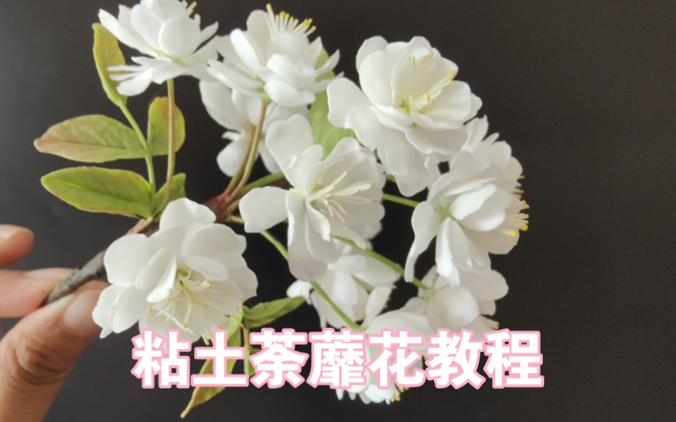 [图]【粘土花朵】荼蘼花教程分享~开到荼靡花事了，喜欢荼蘼花的宝宝们快试试~