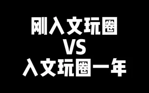 Download Video: 刚入文玩圈vs入文玩圈一年