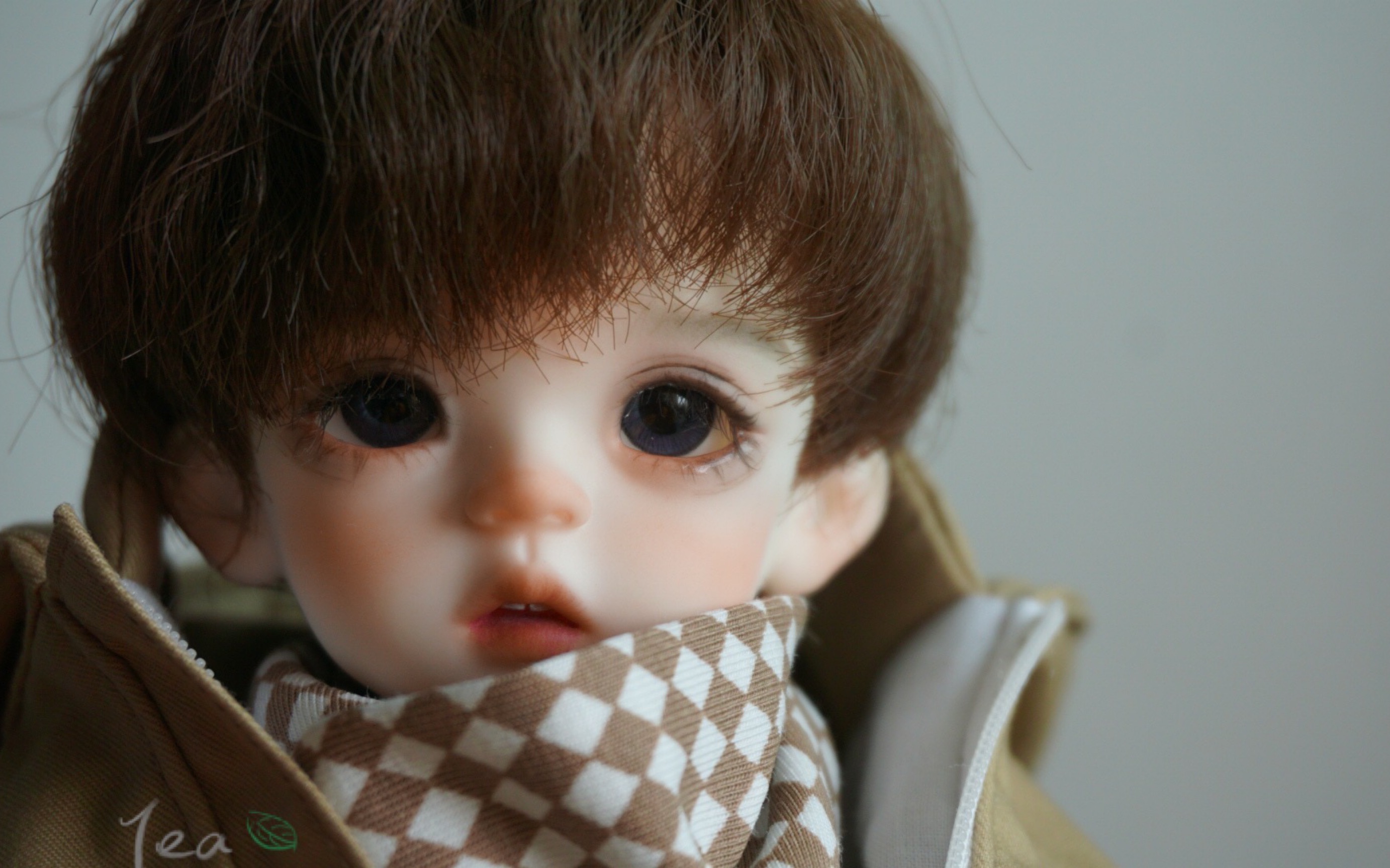 bjd开箱——赤木5分少年体