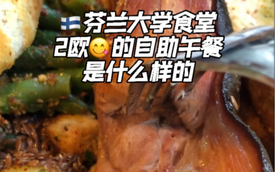 [图]芬兰大学食堂 新的打开方式 终于有硬菜啦！