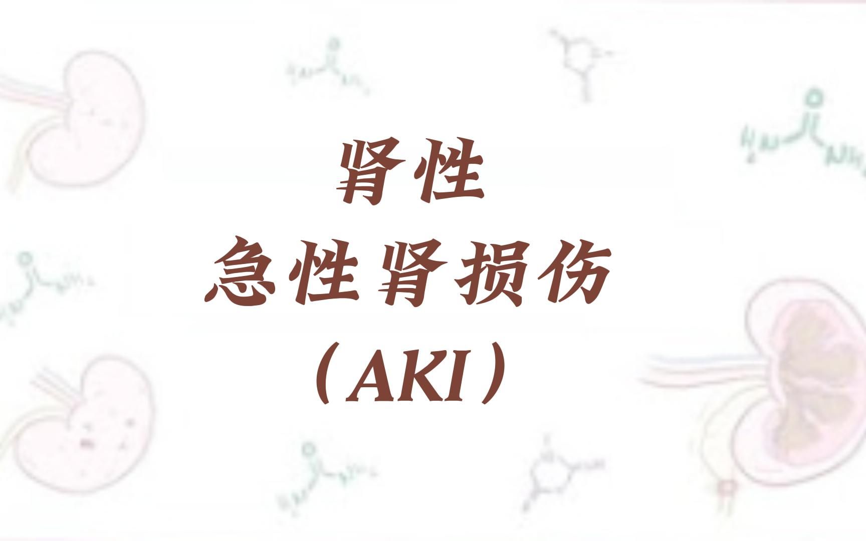 【Osmosis】肾性急性肾损伤(AKI)  病因,症状和病理(中英字幕)哔哩哔哩bilibili