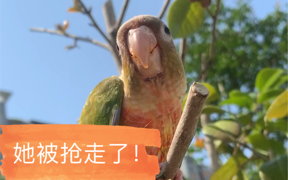 我可爱的小太阳就这么被抢走了.