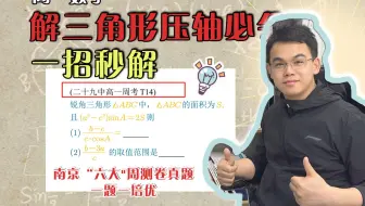 解三角形120分学霸必会题型！这思路真绝了！【高中数学】
