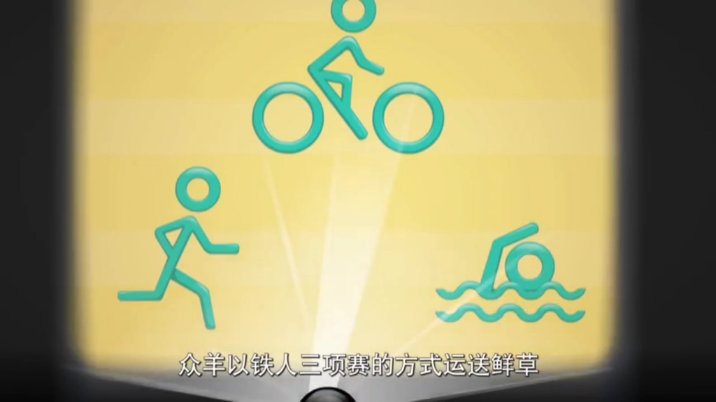 羊羊运动会 (56)再见机械羊