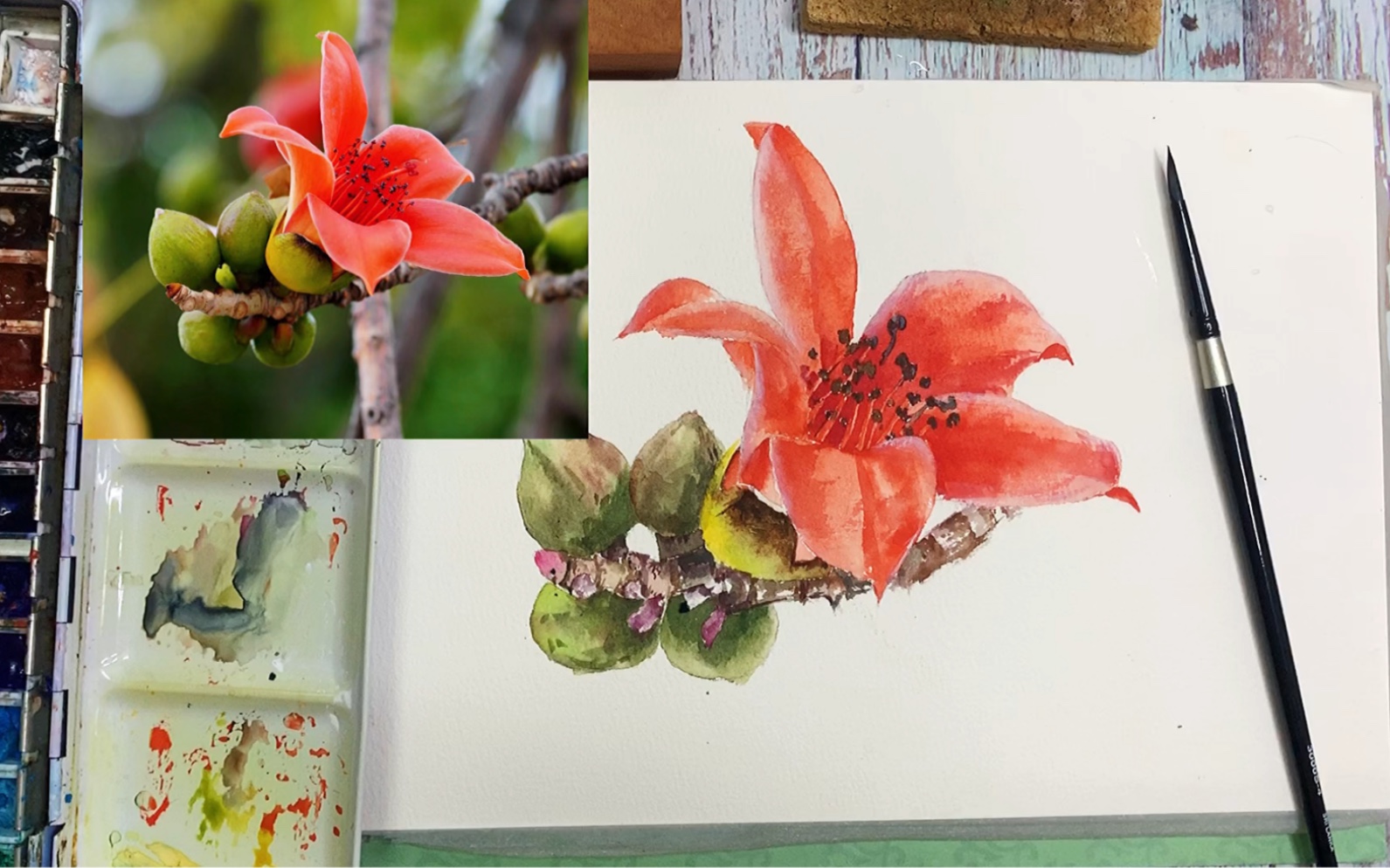 木棉花盛开的季节一起来画水彩吧