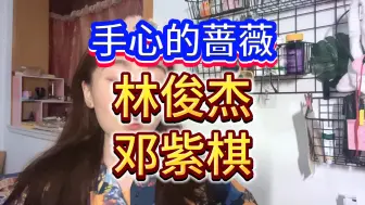 Download Video: 两个行走的CD机！林俊杰，邓紫棋《手心的蔷薇》