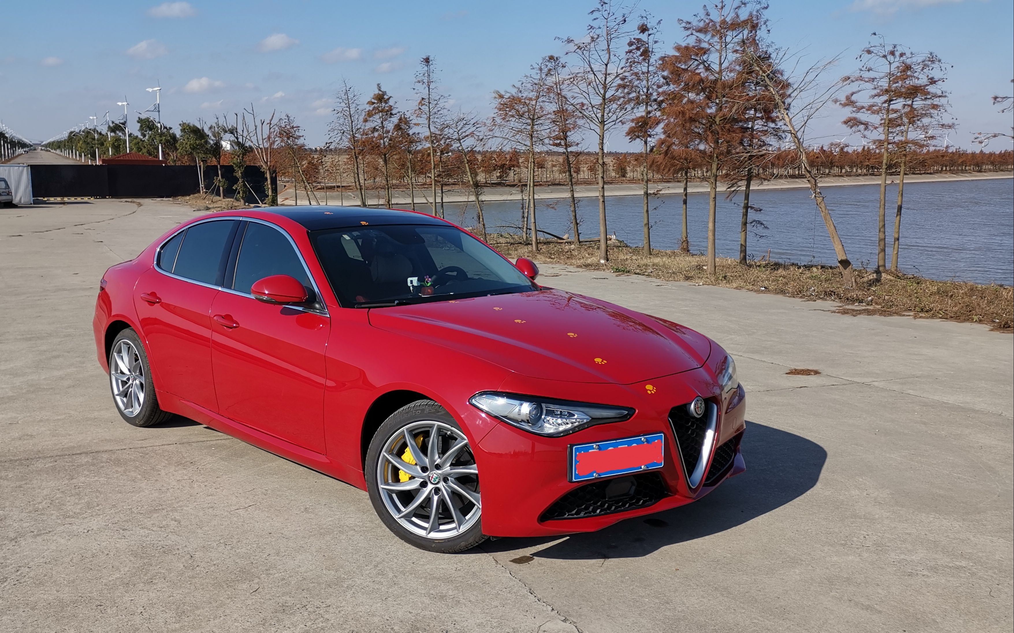 Alfa Romeo Giulia 跑山 四明山 亭下水库——梁弄哔哩哔哩bilibili