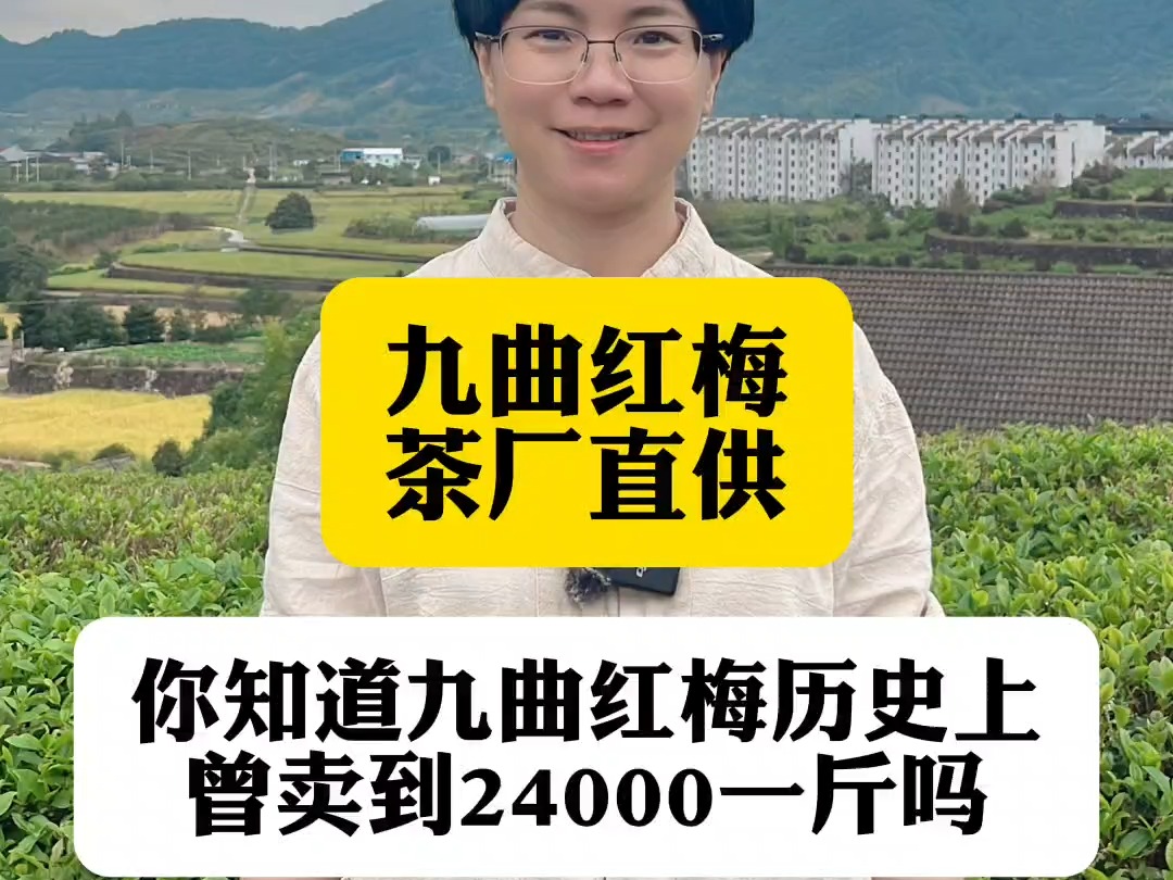 你知道九曲红梅历史上曾卖到24000一斤吗哔哩哔哩bilibili