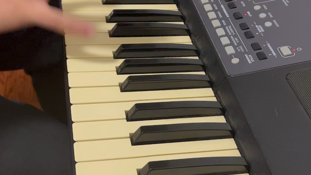 电子琴诺拉的桑巴 korg pa600