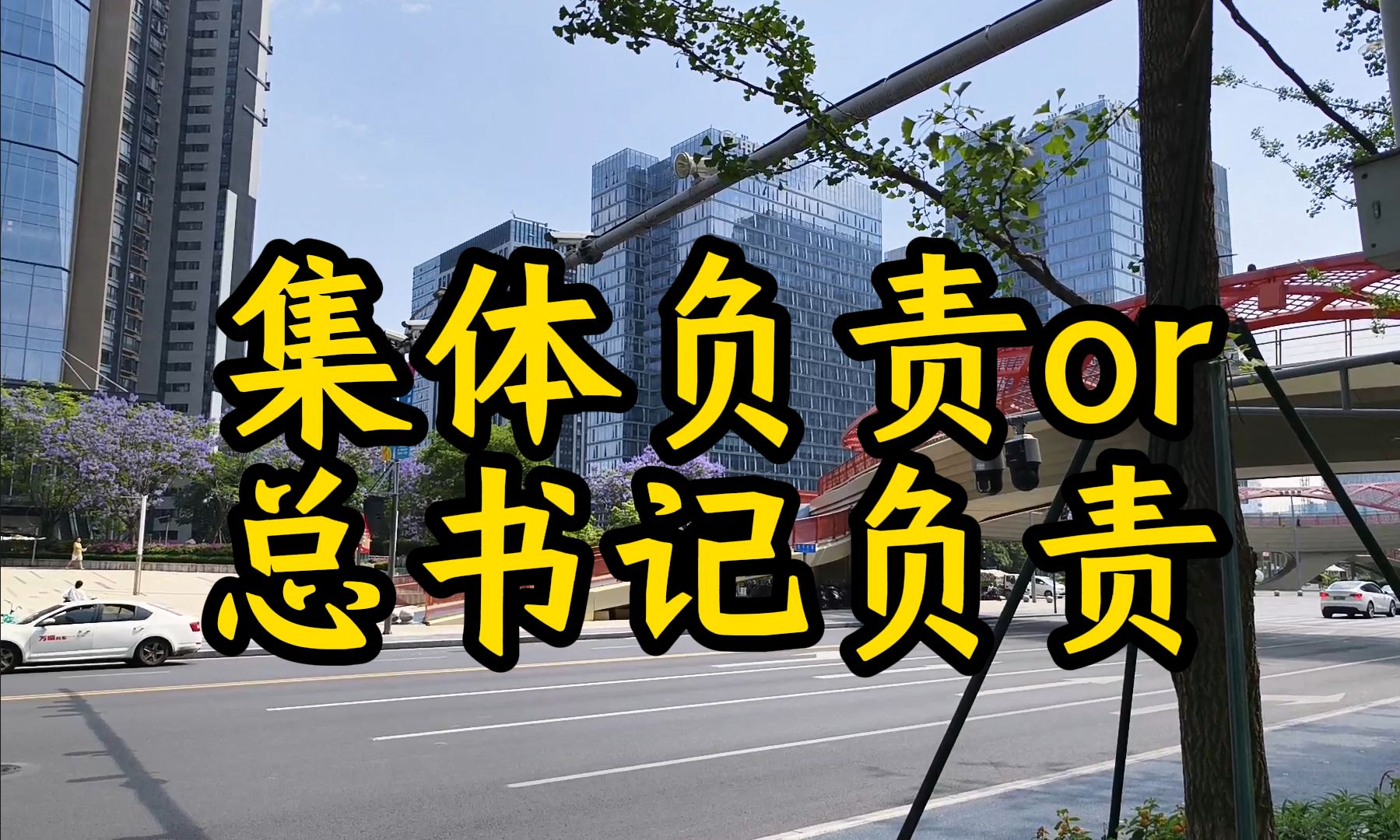 武文赏王庭惠张氏梅出问题,阮富仲总书记是否要负责?哔哩哔哩bilibili