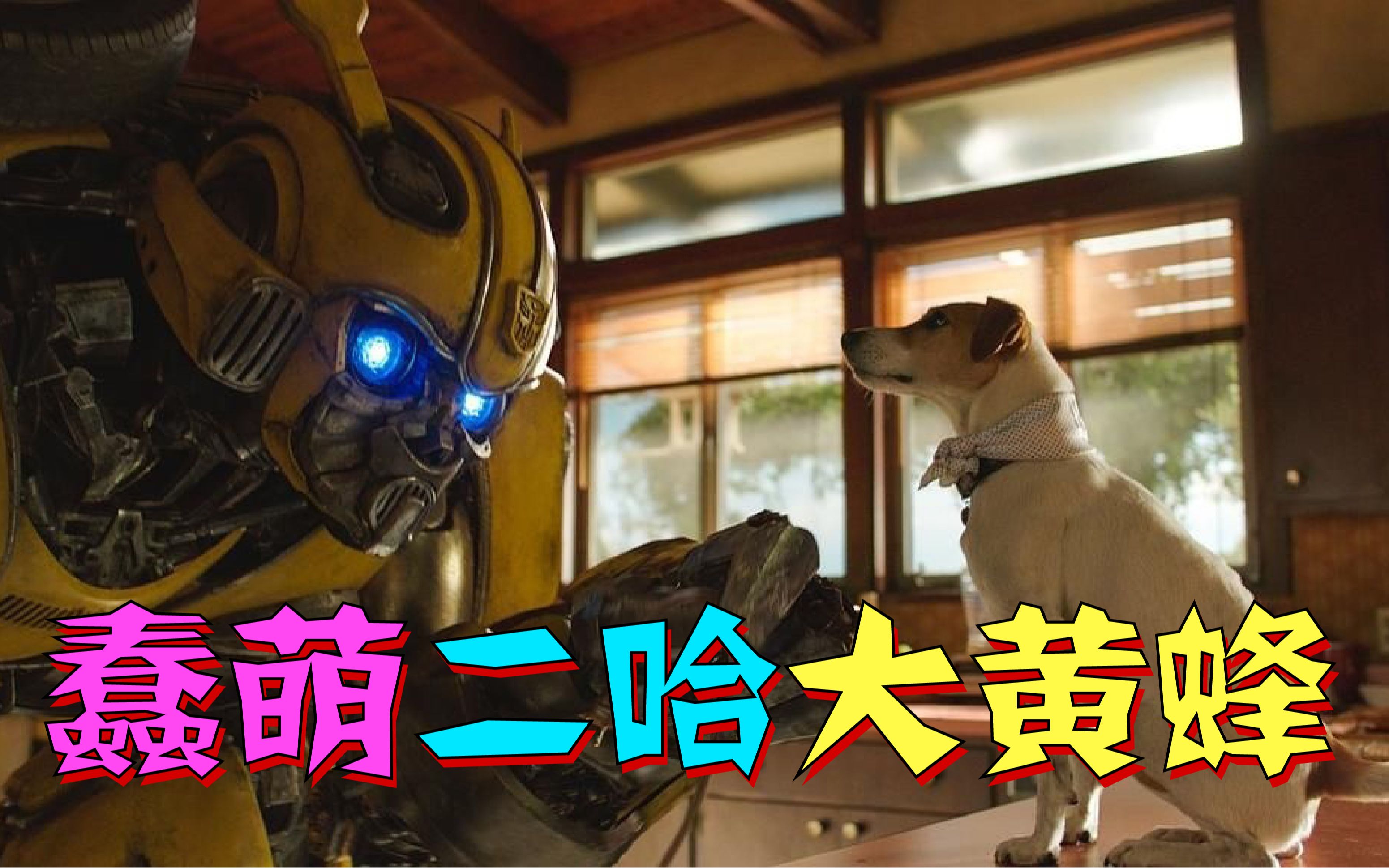 【蠢萌大黄蜂】汽车人二把手竟然还有这么一段不忍直视的蠢萌黑历史