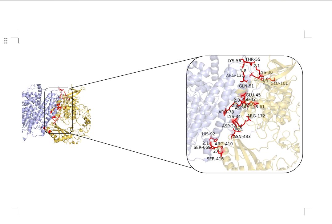 Pymol可视化分析蛋白与蛋白分子对接结果-小小小太阳在学习-小小小太阳在学习-哔哩哔哩视频