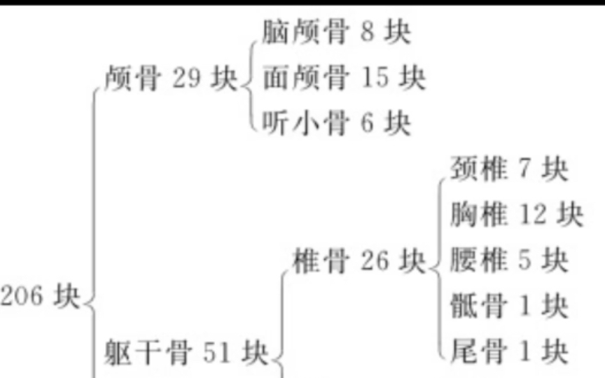 [图]江西专升本【人体解剖学】第一节【骨学】重点笔记