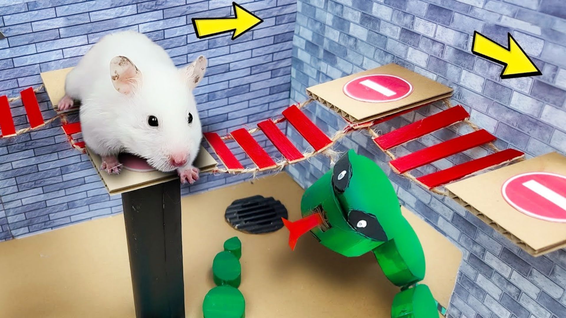 小仓鼠大冒险:仓鼠挑战蛇形密室迷宫,障碍重重它能逃出吗?