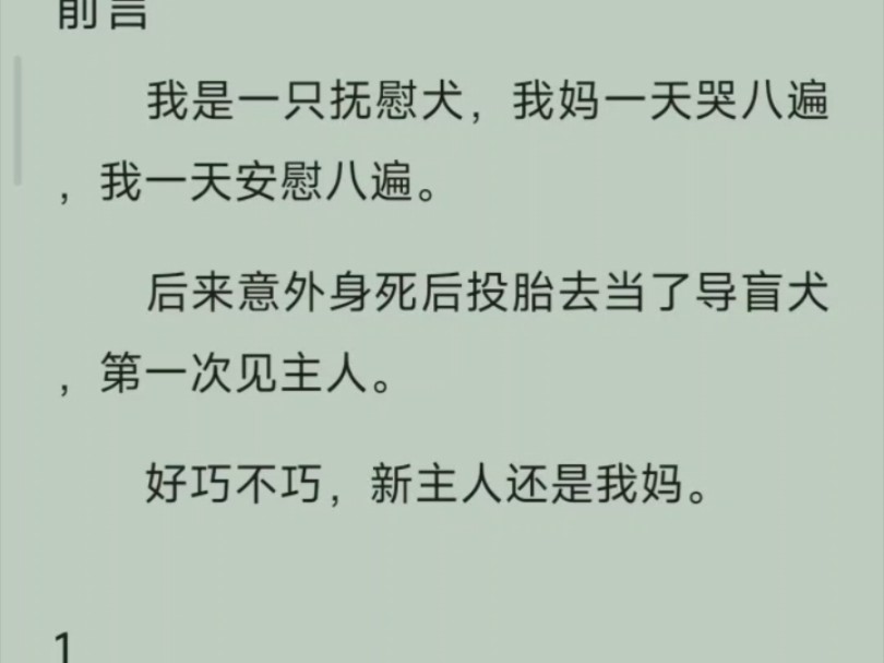 (全文/小狗多多)我叫陈多多,当我还是一条小狗时,我就在我妈身边……哔哩哔哩bilibili