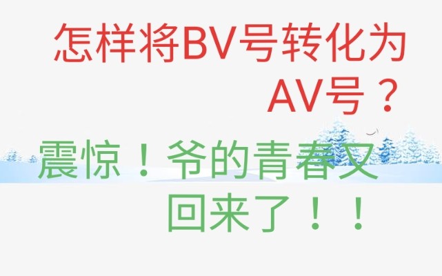 震惊!这个网站竟然能将BV号和AV号相互转换!爷的青春又回来了!哔哩哔哩bilibili