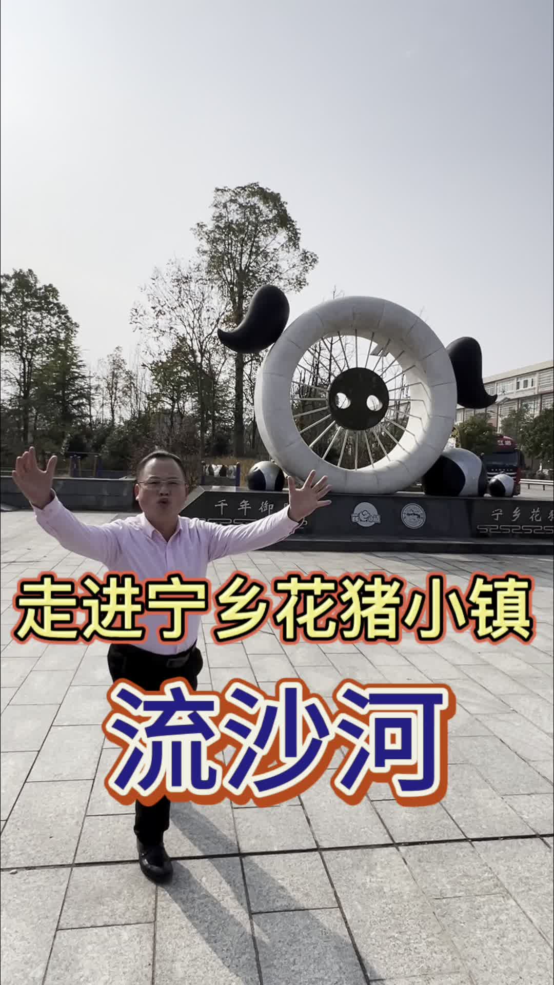 年猪优品———农户熟食喂养的原生态宁乡花猪全国限量1000头!