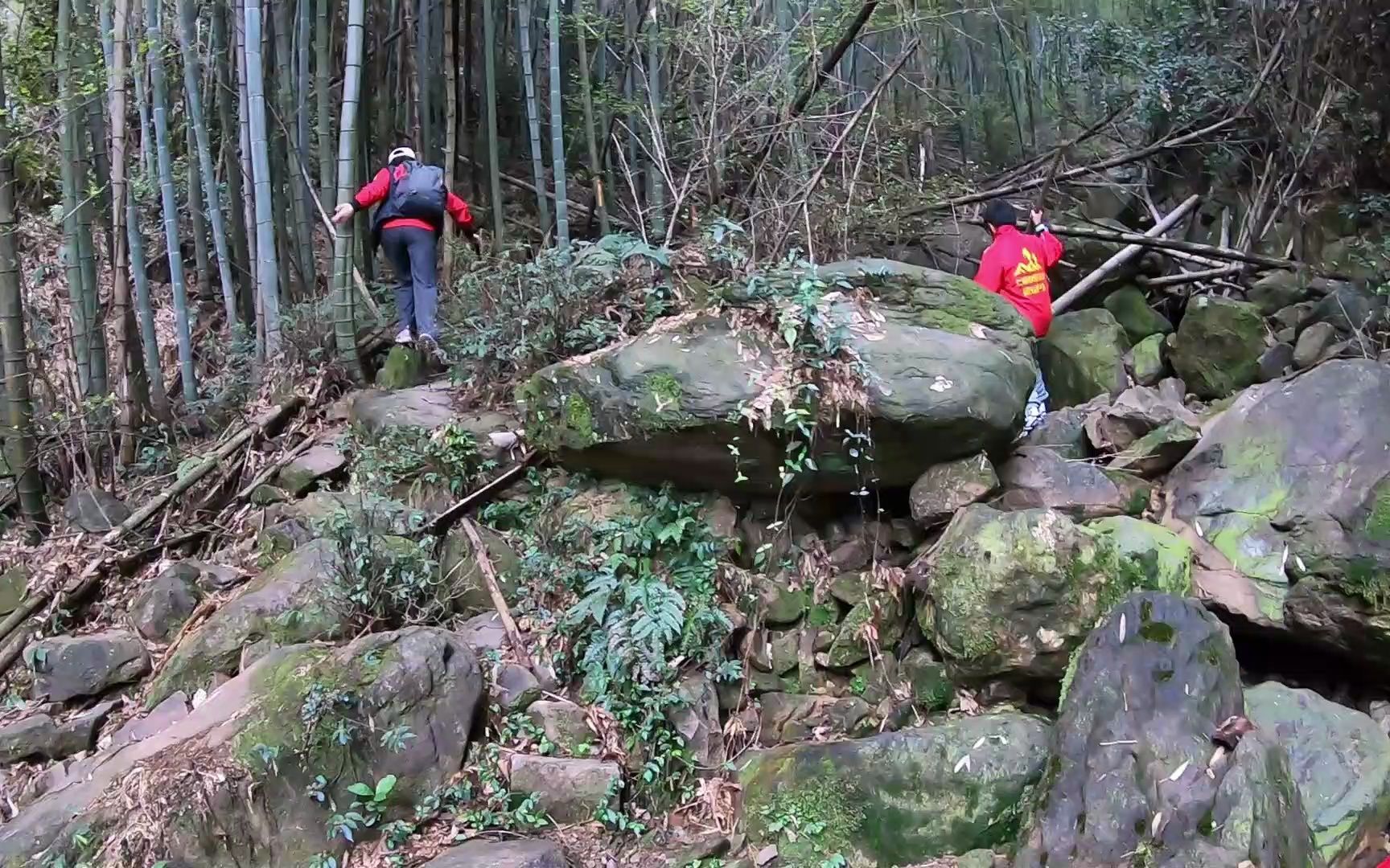 上海徒步视频 周末旅游健身 栗子岗古道4 上海快乐徒步爬山户外哔哩哔哩bilibili